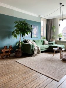 livingroom with green couch